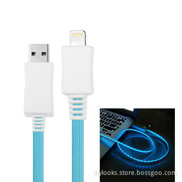 1m Blue Visible Light USB Sync Data Charging Cable for iPhone 5/iPad mini/iPod Touch 5/iPad 4